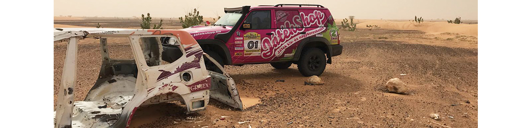 Budimpešta - Bamako Rally izvještaj 11-12. dan utrke