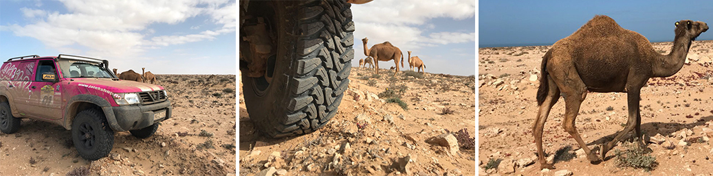 Budimpešta - Bamako Rally izvještaj 7. dan utrke