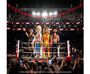 Uđi u ring s Playmobil WWE kolekcijom