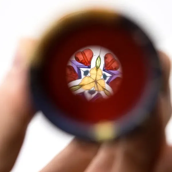 Animal kaleidoscope u različitim verzijama slika 2