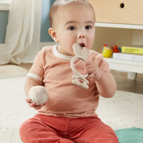 Fisher-Price: Sensimals Pozdrav osjetilima set od 4 igračke za bebe - Mattel slika 5