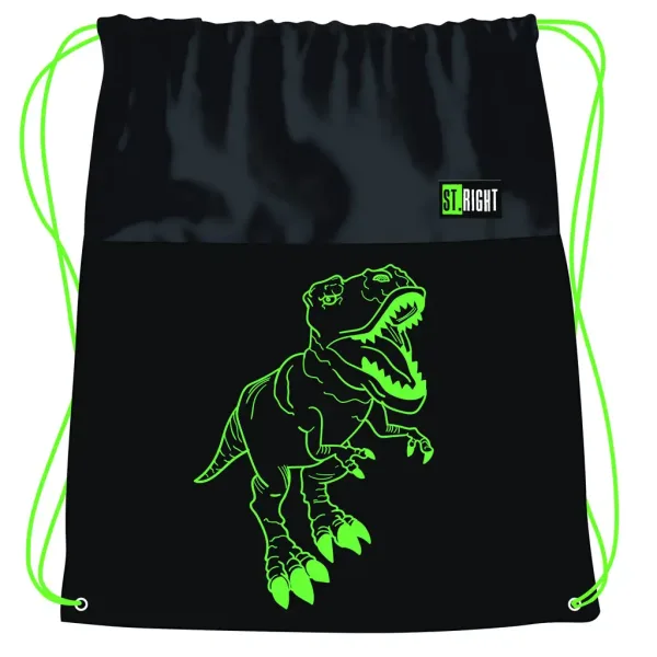 St.Right T-Rex dinosaurus uzorkom torba za teretanu, sportska torba 43x32cm slika 1
