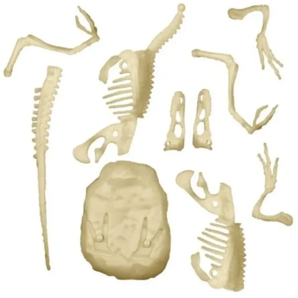 Science&Play: Archeofun svjetleći Velociraptor arheološki set - Clementoni slika 3