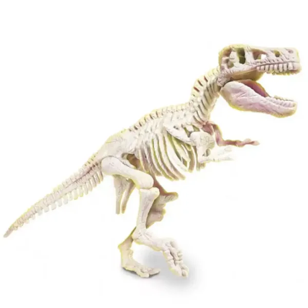 Science & Play: T -Rex fluorescentni arheološki komplet - Clementoni slika 3