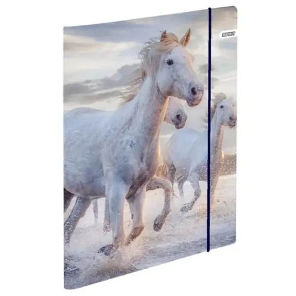 Spirit: Ergonomska školska torba Cool Magical Horse za jahanje, set ruksaka od 4 komada slika 6