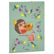 Ars Una: Apple Pie mapa s gumicom s ježem A/4