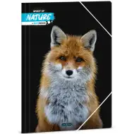 Ars Una: Bence Máté - Lisica A/4 mapa s gumicom