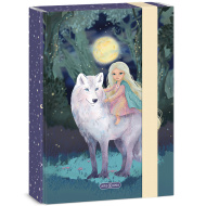 Ars Una: Northern Lights kutija za bilježnice A/5