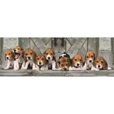 Beagle psići panorama puzzle od 1000 komada 98x33cm - Clementoni slika 2
