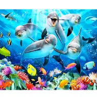 Dijamantna slagalica: Set za dijamantno slikanje s dupinima 40x50cm