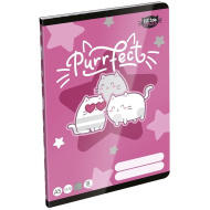 ICO: LizzySuli Kittok Stars Purrfect linirana bilježnica za 3. razred A5 12-32
