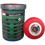 Mađarska reprezentacija u stolnom nogometu