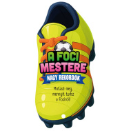 Majstor nogometa - Veliki rekordi
