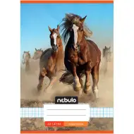 Nebulo: A5 bilježnica sa kockastim uzorkom i motivom divljih konja, 27-32