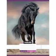 Nebulo: Konj u pijesku, bilježnica s linijama 81-32 A/4