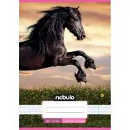 Nebulo: Konjić u zalasku sunca, bilježnica s crtama za 4. razred, A/5 21-32