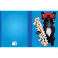 Nebulo: Kutija za bilježnice A/4 veličine, Skateboard buldog
