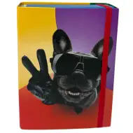 Nebulo: Kutija za bilježnice A/5 veličine s cool uzorkom buldoga