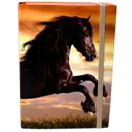 Nebulo: Kutija za bilježnice A5 veličine s crnim konjem