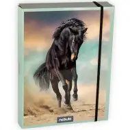 Nebulo: Kutija za bilježnicu formata A/5 s motivom konja