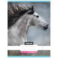 Nebulo: Siva konj obična bilježnica A4 80-32