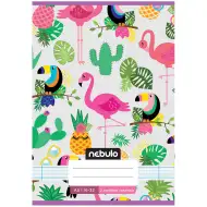 Nebulo: Šivana bilježnica za 2. razred s linijama, motiv tukan, 16-32 A/5