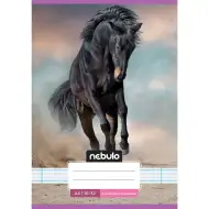 Nebulo: Spajalica bilježnica za 2. razred, A5, 16-32, s linijama, s motivom konja