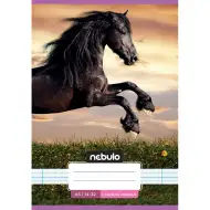 Nebulo: Spajalica za 1. razred, bilježnica s crtama A5, 14-32, s preslatkim uzorkom - Konjić