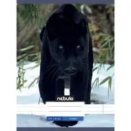 Nebulo: Spremnica sa crtama sa životinjskim motivom - Crna pantera - šarirana bilježnica 81-32 A/4