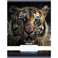Nebulo: Tigris glatka bilježnica A4 80-32