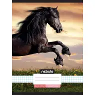 Nebulo: Uvezana bilježnica s kvadratićima - Konj u zalasku sunca uzorak 87-32 A/4