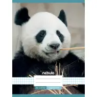 Nebulo: Uvezana bilježnica s kvadratićima i uzorkom pande 87-32 A/4