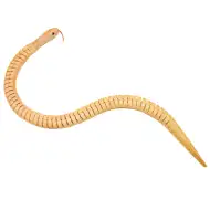 PlayBox: Drvene zmije, paket od 6 komada