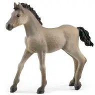 Schleich: Figura ždrijebeta pasmine Criollo Definitivo (13949)