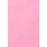 Spirit: Svijetloružičasta spužva u listovima A4 formata debljine 2 mm