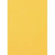 Spirit: Zlatna spužva list A4 veličine 2mm