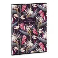 Ars Una: Bromelia obična bilježnica