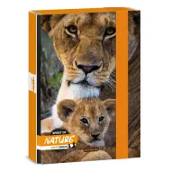 Ars Una: Máté Bence Spirit of Nature - Kutija za bilježnice s lavom A/5