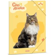 Ars Una: Slatke životinje – Norveška šumska mačka A/4 mapa s gumicom