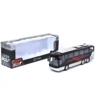 City Bus: crno-bijeli turistički autobus