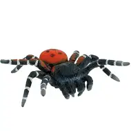 Crna udovica pauk figura