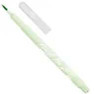 ICO: Flomaster kist zelene boje (48) Z10