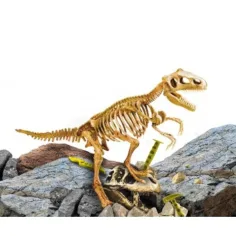 I'M Genius: Arheološki komplet dinosaura Tyrannosaurus Rex s alatima slika 2