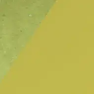 Kaki ukrasni karton 10kom B/4