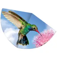 Kolibri zmaj koji leti