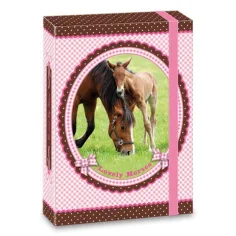 My Horse bilježnica kutija A5
