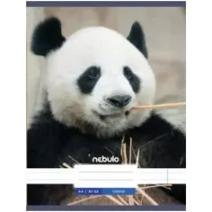 Nebulo: Panda glatki bilježnica A4 80-32