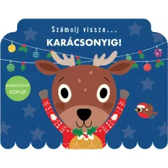 Broji unatrag... Do Božića! slikovnica