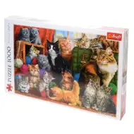 Sastanak mačaka puzzle 1000kom - Trefl