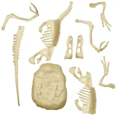 Science&Play: Archeofun svjetleći Velociraptor arheološki set - Clementoni slika 3